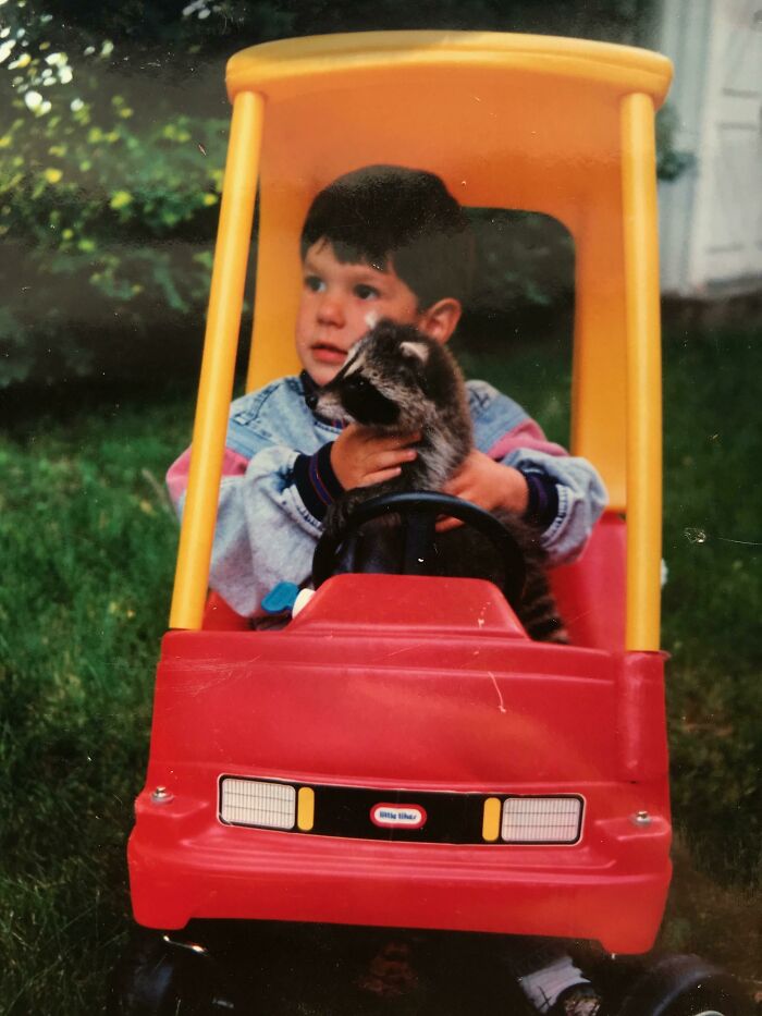 I Had A Pet Raccoon When I Was A Kid. His Name Was Buck