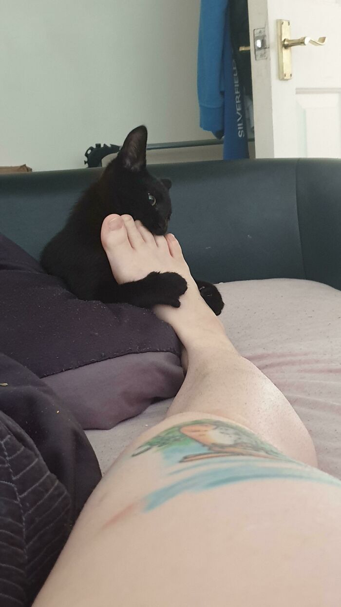 Ah, It Must Be Morning