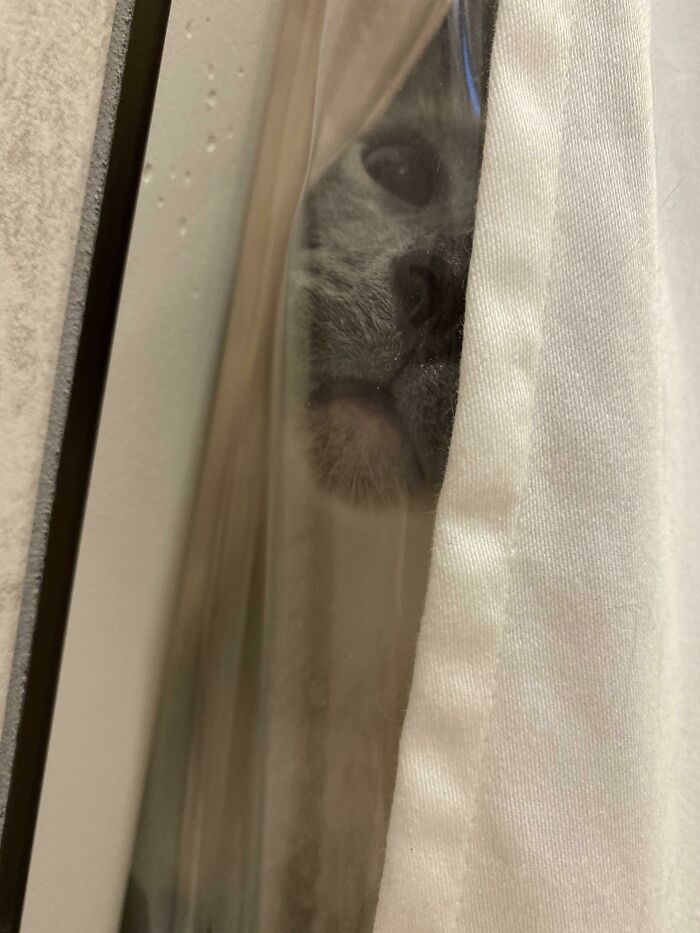 Not Even Allowed To Take A Bath Without This Creep Screaming At Me And Doing Weird Stuff