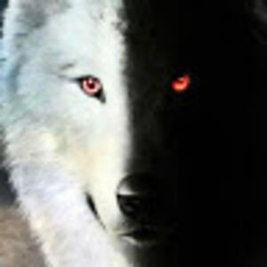 amberleybenson avatar