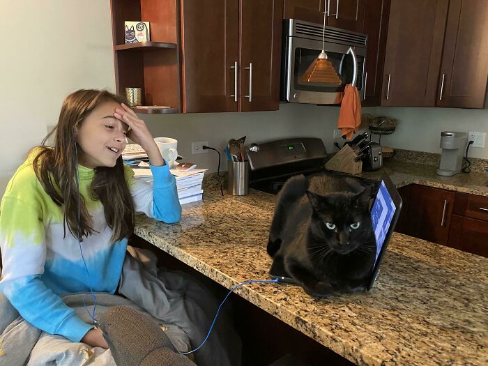 The Frustration Of 2020