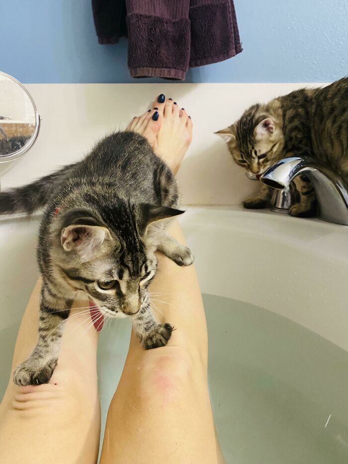 This Is Not A Relaxing Bath I Had Planned