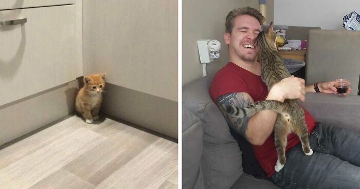 50 Most Wholesome Rescue Pet Photos Of October