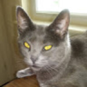 jenniferapplegate_1 avatar