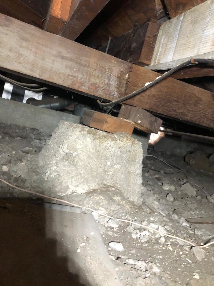 Bizarre-Structural-Inspections