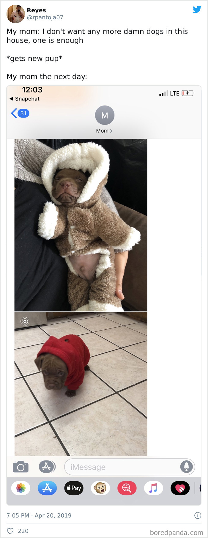 Latina-Moms-Who-Did-Not-Want-A-Dog