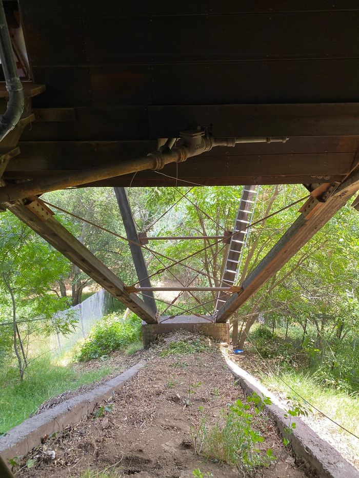 Bizarre-Structural-Inspections