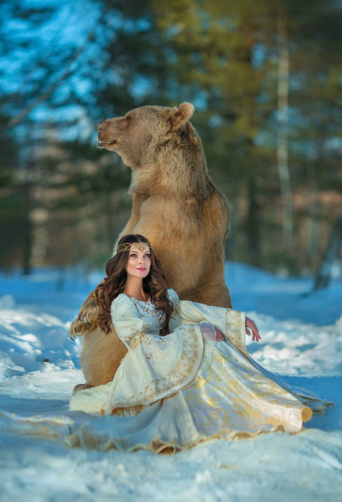 Russian brown bear sitting in snow with woman in a medieval-style gown during a winter forest photoshoot.