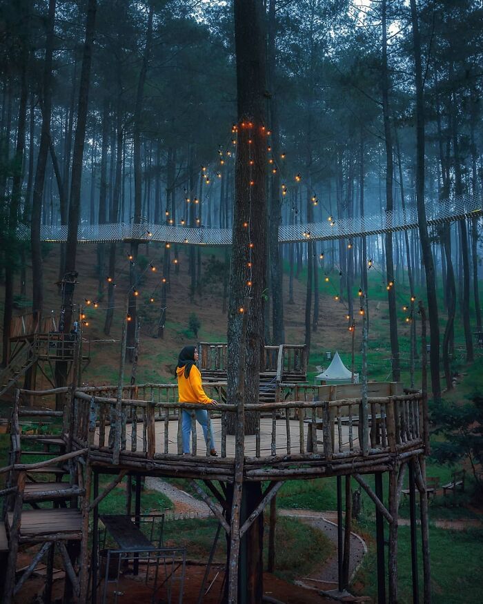 This Forest In Indonesia Is Home To A Magical Bridge Of Lights Suspended Among Trees This Forest In Indonesia Is Home To A Magical Bridge Of Lights Suspended Among Trees