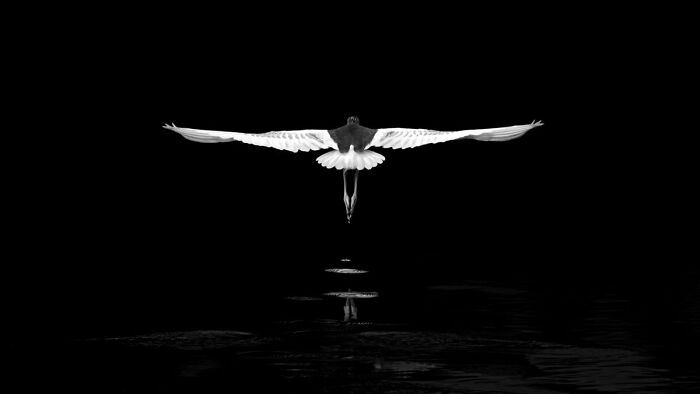 Highly Commended: 'Reflections' By Jian Huang