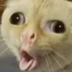 geraldinegovea avatar