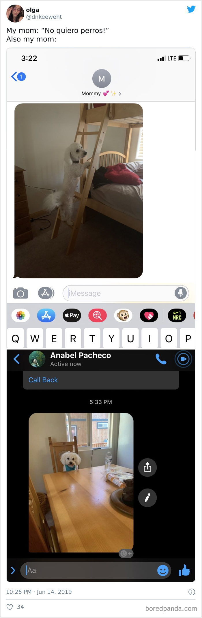 Latina-Moms-Who-Did-Not-Want-A-Dog