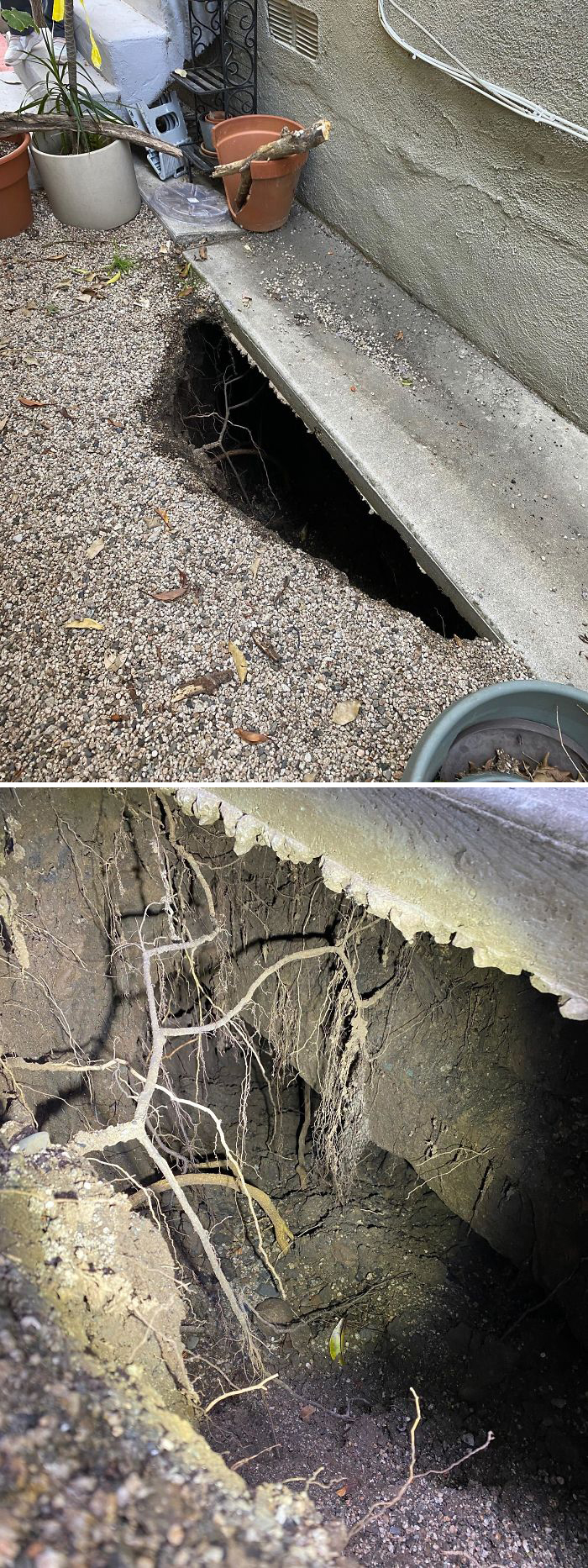 Bizarre-Structural-Inspections