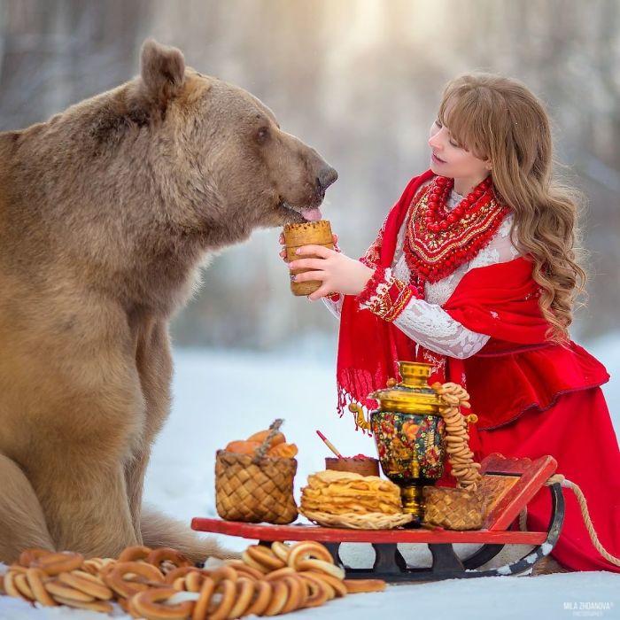 Russian brown bear raised by humans being fed by a girl in traditional dress during a winter outdoor scene.