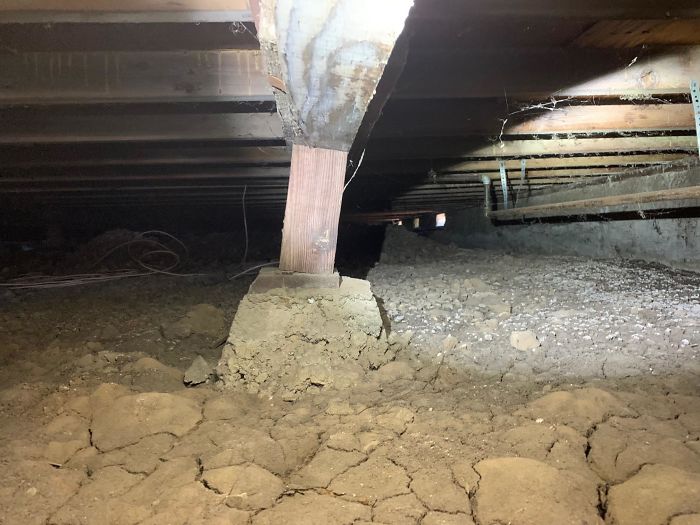 Bizarre-Structural-Inspections