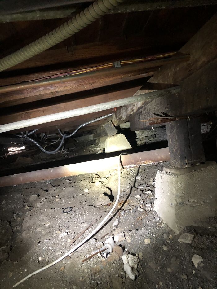 Bizarre-Structural-Inspections