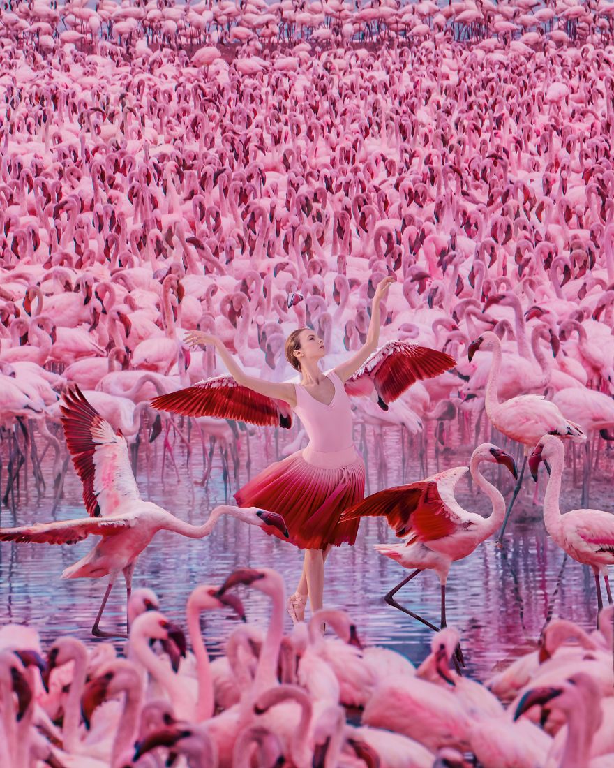 Flamingo Lake