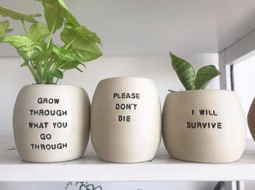 If Plants Could Talk, This Is What They'd Say...