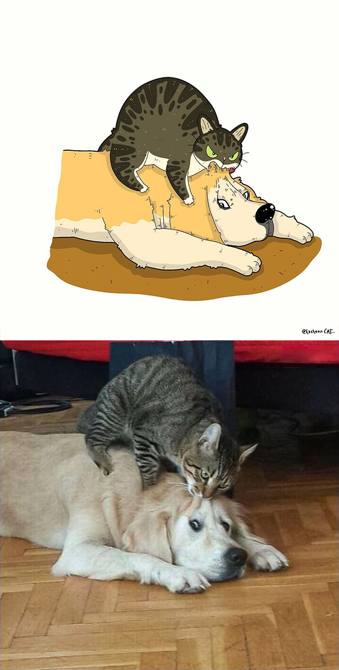 Artist Is Bringing Forgotten Memes Of Cats In The Form Of Cartoons And This Is So Purrfect