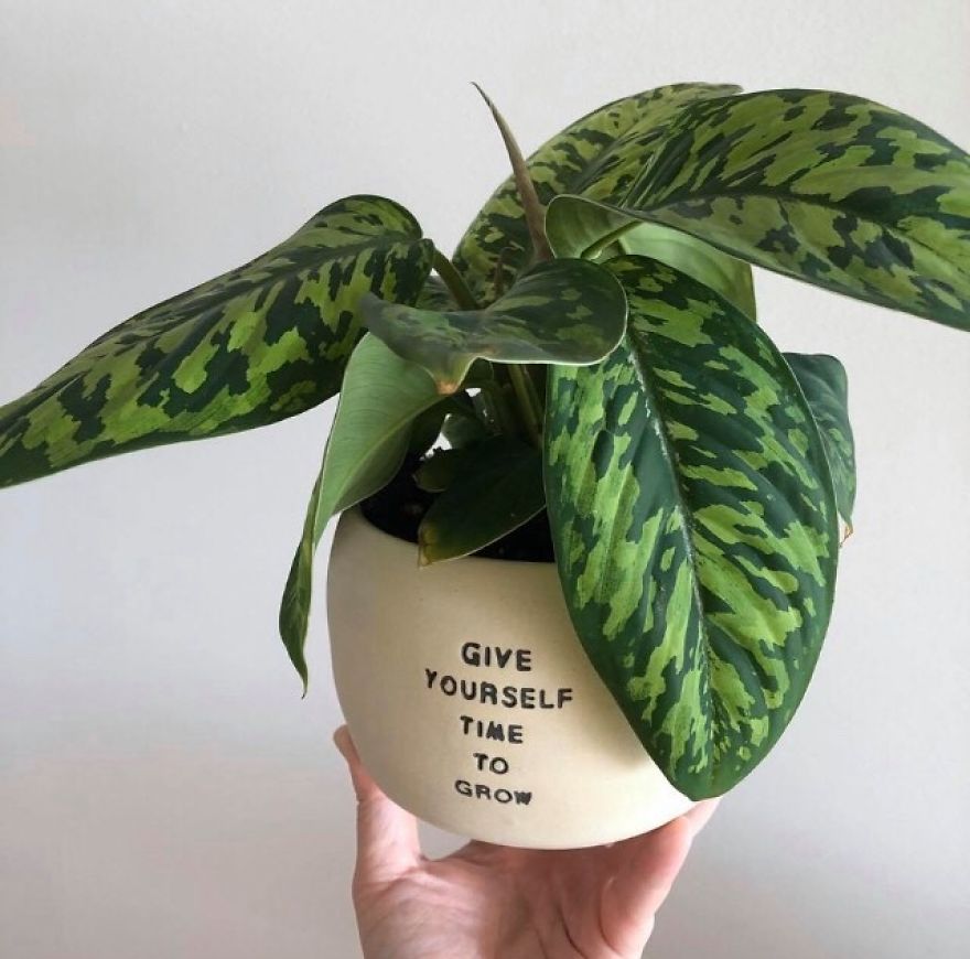 If Plants Could Talk, This Is What They'd Say...