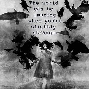 wendyhogendoorn avatar