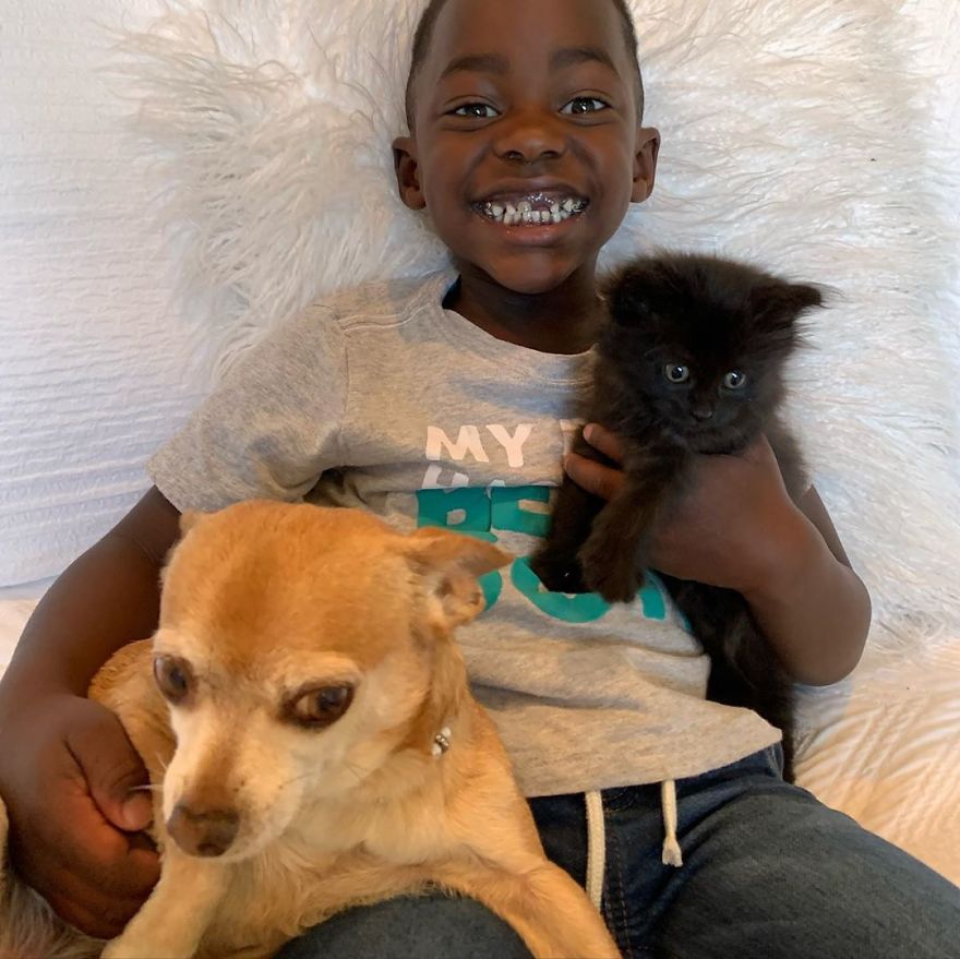 Kitten Found On Busy Road Curled Up On Her Rescuer's Shoulder On The Drive Home