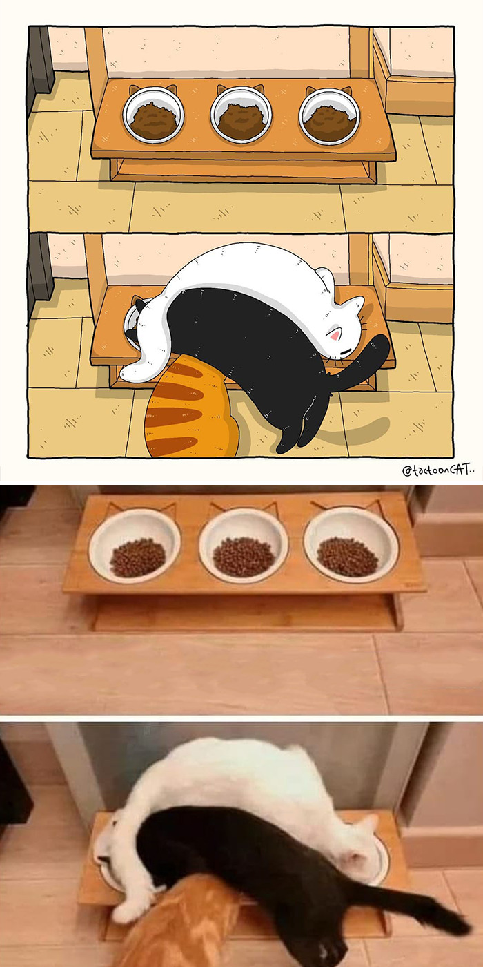 Artist Is Bringing Forgotten Memes Of Cats In The Form Of Cartoons And This Is So Purrfect