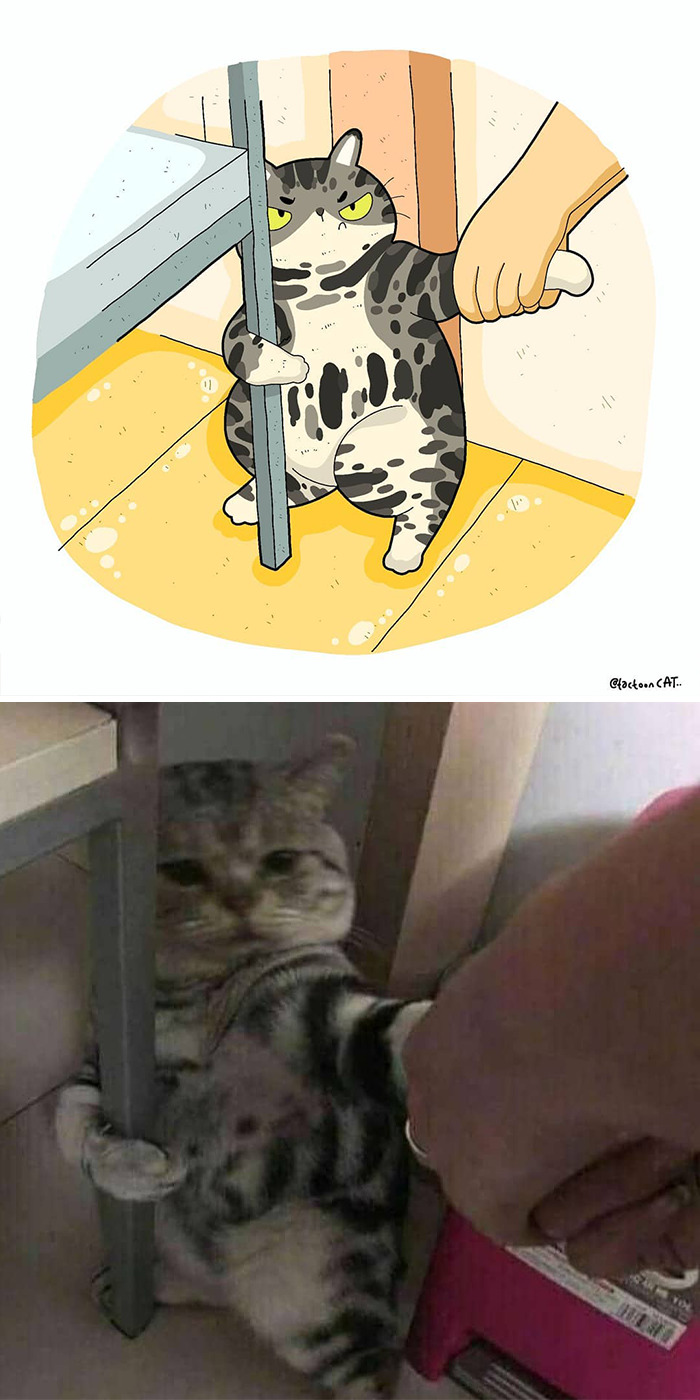 Artist Is Bringing Forgotten Memes Of Cats In The Form Of Cartoons And This Is So Purrfect