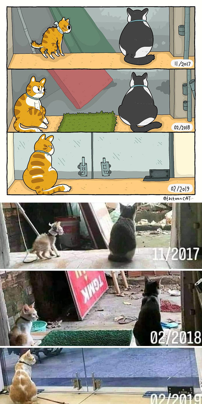 Artist Is Bringing Forgotten Memes Of Cats In The Form Of Cartoons And This Is So Purrfect