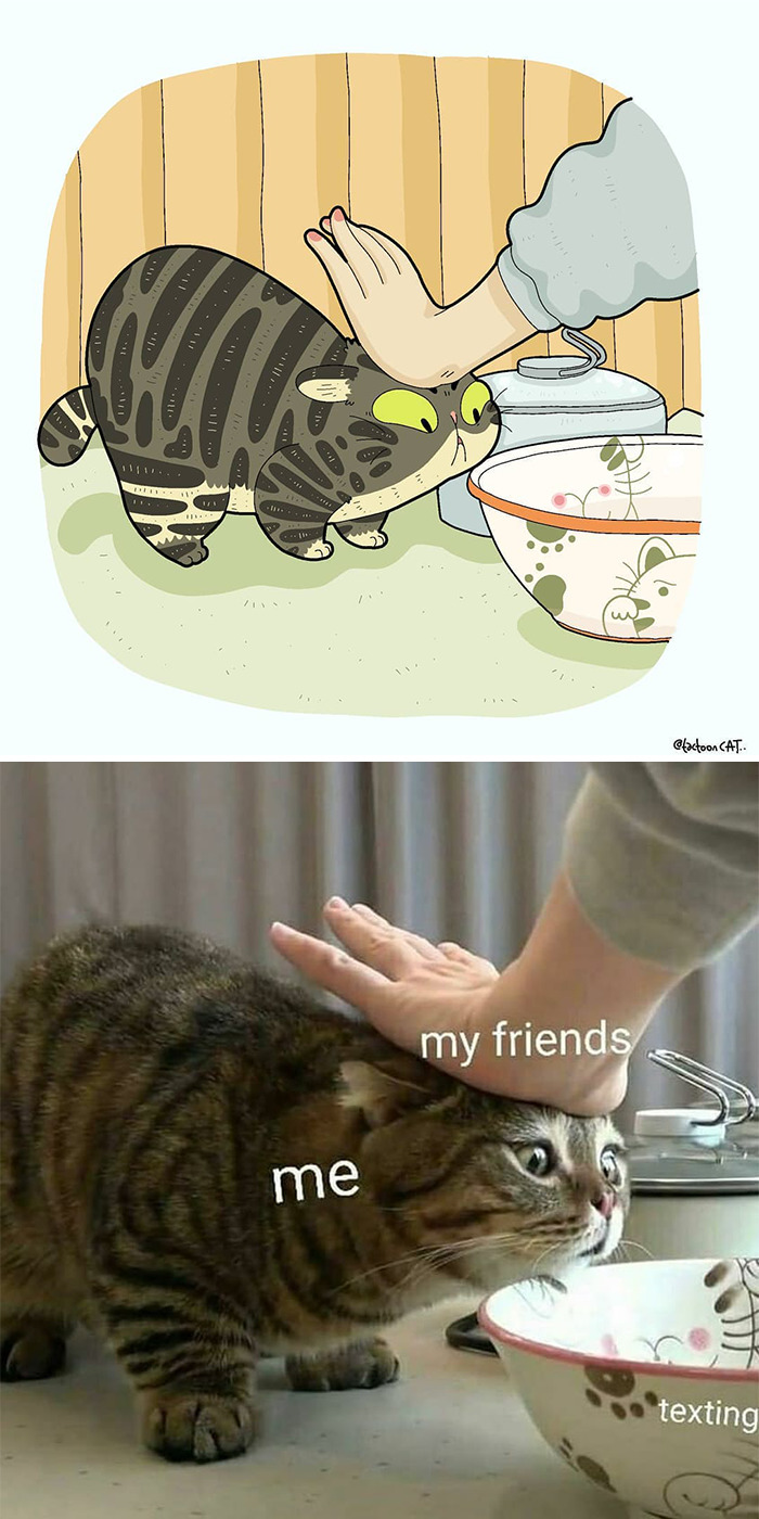 Artist Is Bringing Forgotten Memes Of Cats In The Form Of Cartoons And This Is So Purrfect