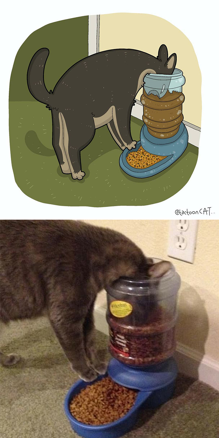 Artist Is Bringing Forgotten Memes Of Cats In The Form Of Cartoons And This Is So Purrfect