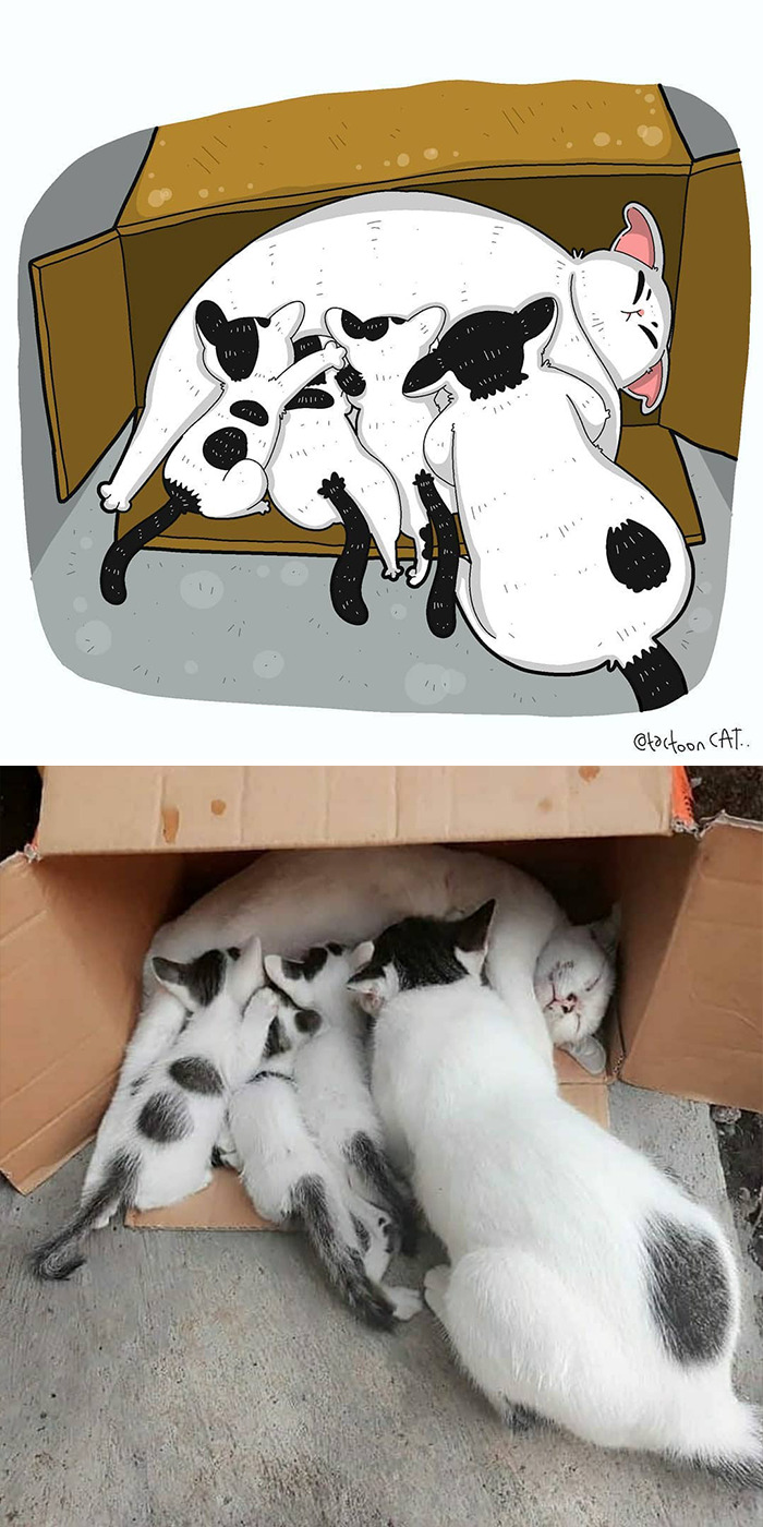 Artist Is Bringing Forgotten Memes Of Cats In The Form Of Cartoons And This Is So Purrfect