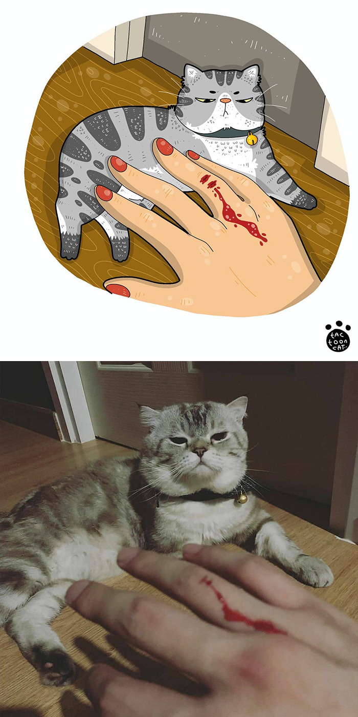 Artist Is Bringing Forgotten Memes Of Cats In The Form Of Cartoons And This Is So Purrfect