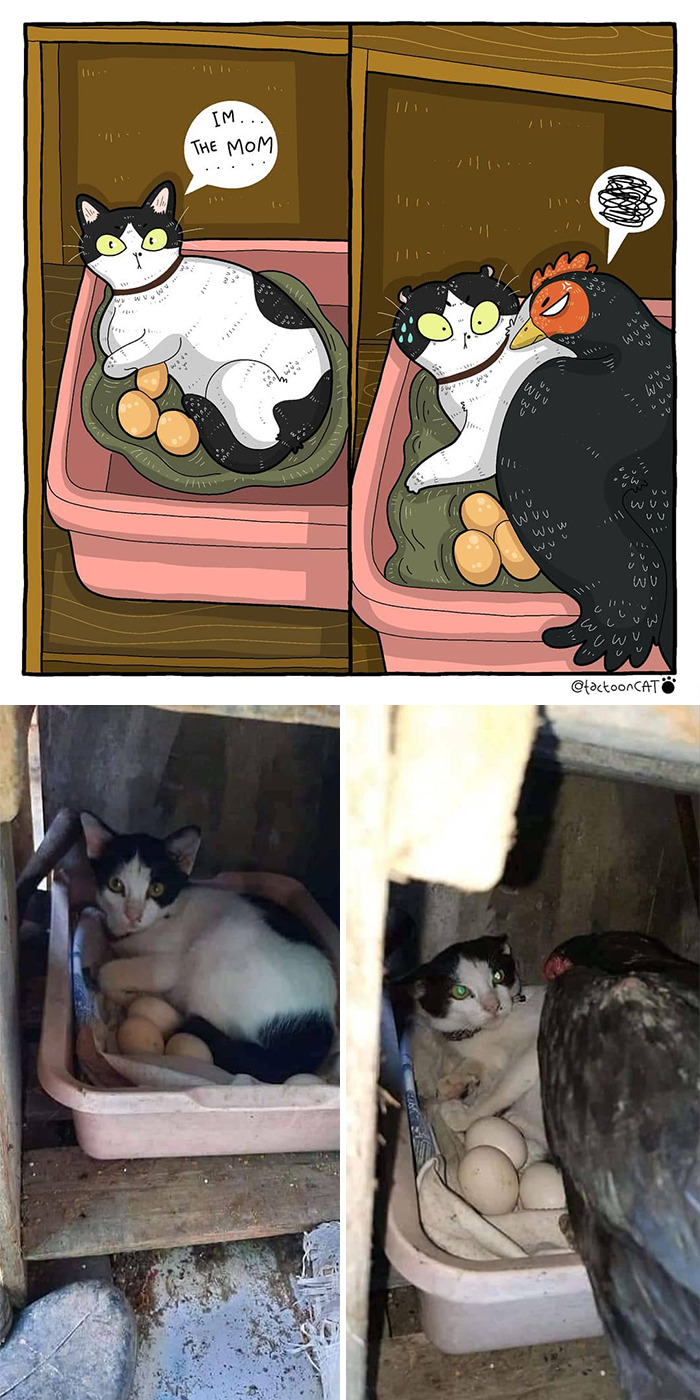 Artist Is Bringing Forgotten Memes Of Cats In The Form Of Cartoons And This Is So Purrfect