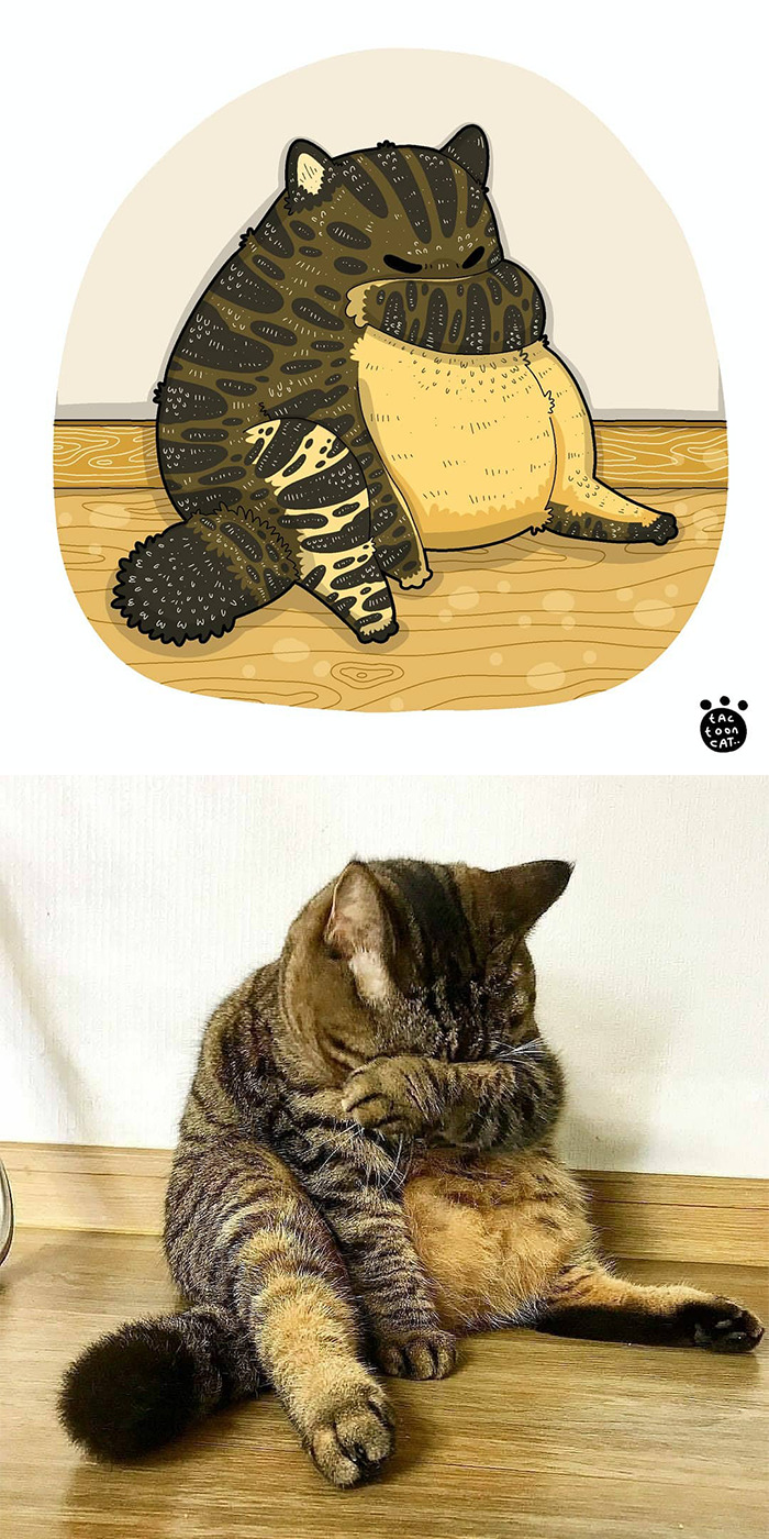 Artist Is Bringing Forgotten Memes Of Cats In The Form Of Cartoons And This Is So Purrfect