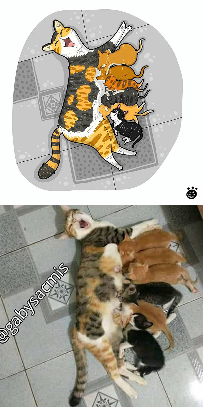 Artist Is Bringing Forgotten Memes Of Cats In The Form Of Cartoons And This Is So Purrfect