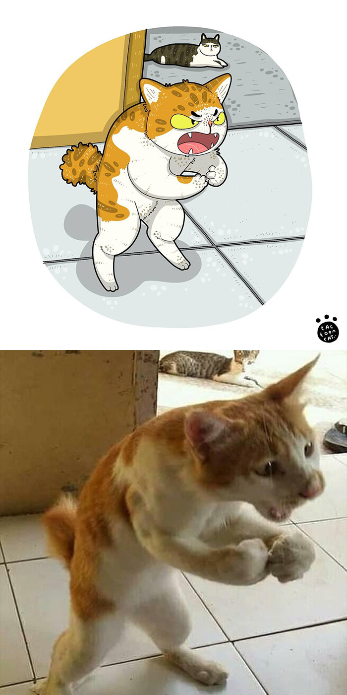 Artist Is Bringing Forgotten Memes Of Cats In The Form Of Cartoons And This Is So Purrfect