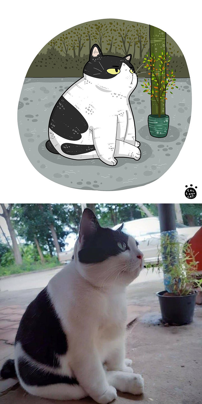 Artist Is Bringing Forgotten Memes Of Cats In The Form Of Cartoons And This Is So Purrfect