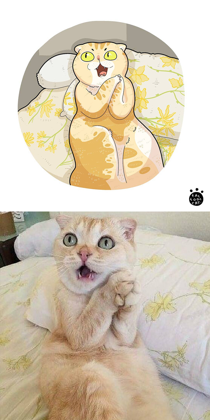 Artist Is Bringing Forgotten Memes Of Cats In The Form Of Cartoons And This Is So Purrfect