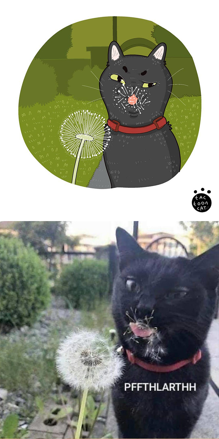 Artist Is Bringing Forgotten Memes Of Cats In The Form Of Cartoons And This Is So Purrfect