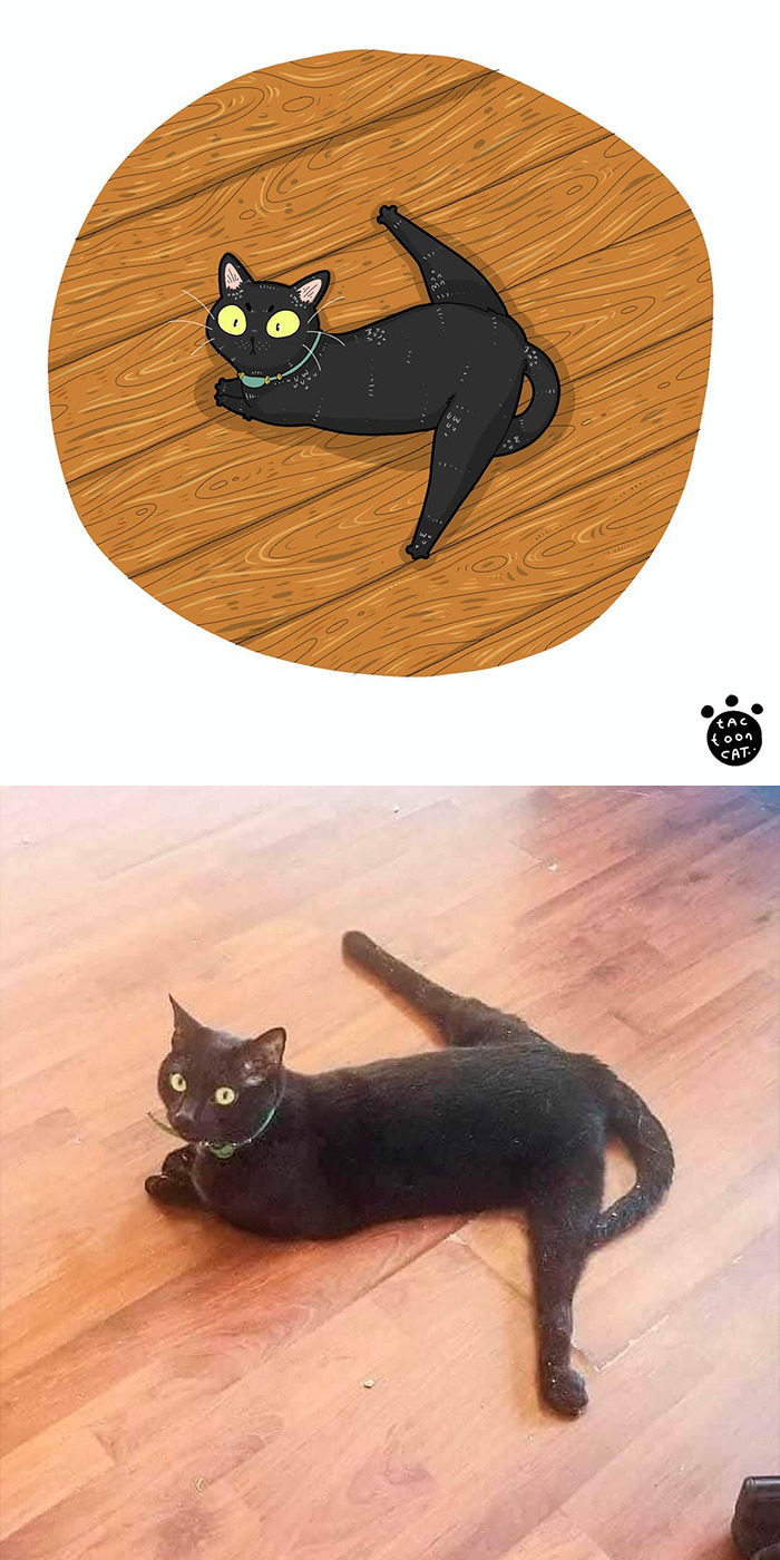 Artist Is Bringing Forgotten Memes Of Cats In The Form Of Cartoons And This Is So Purrfect