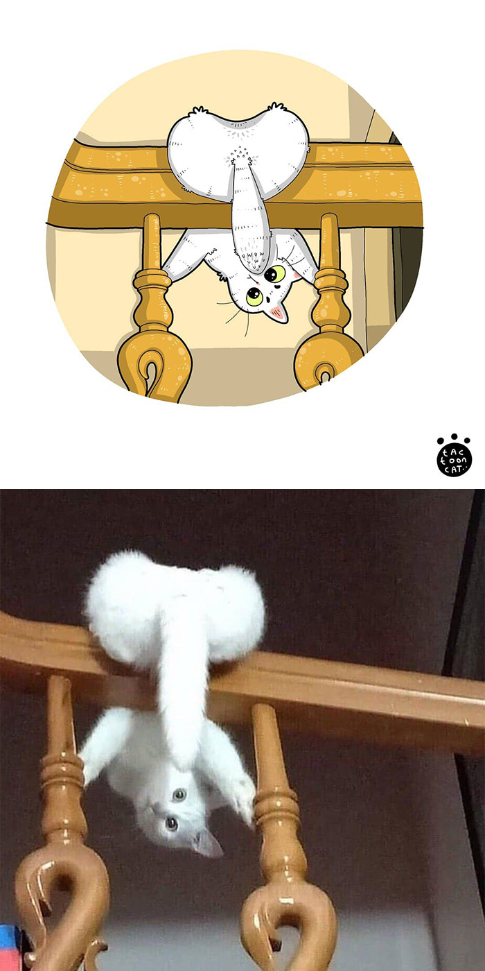 Artist Is Bringing Forgotten Memes Of Cats In The Form Of Cartoons And This Is So Purrfect