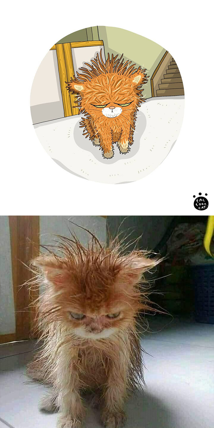 Artist Is Bringing Forgotten Memes Of Cats In The Form Of Cartoons And This Is So Purrfect