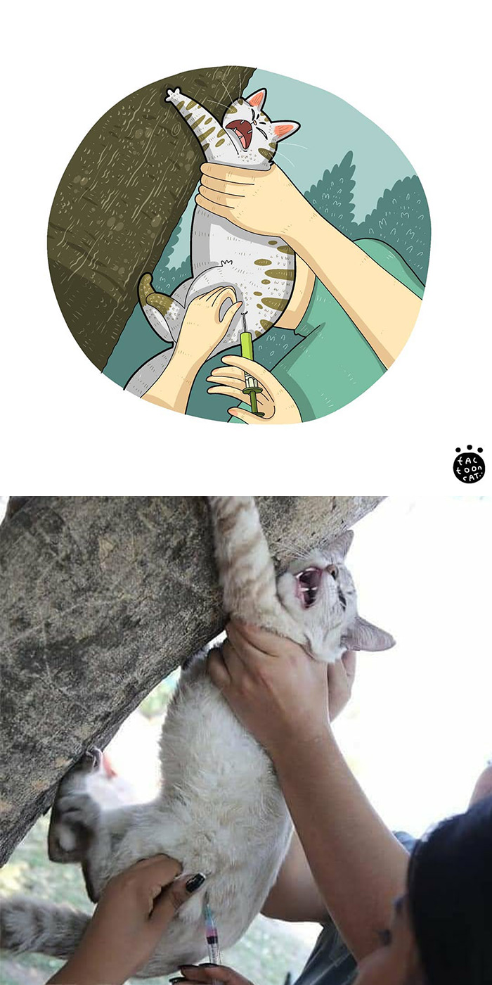 Artist Is Bringing Forgotten Memes Of Cats In The Form Of Cartoons And This Is So Purrfect