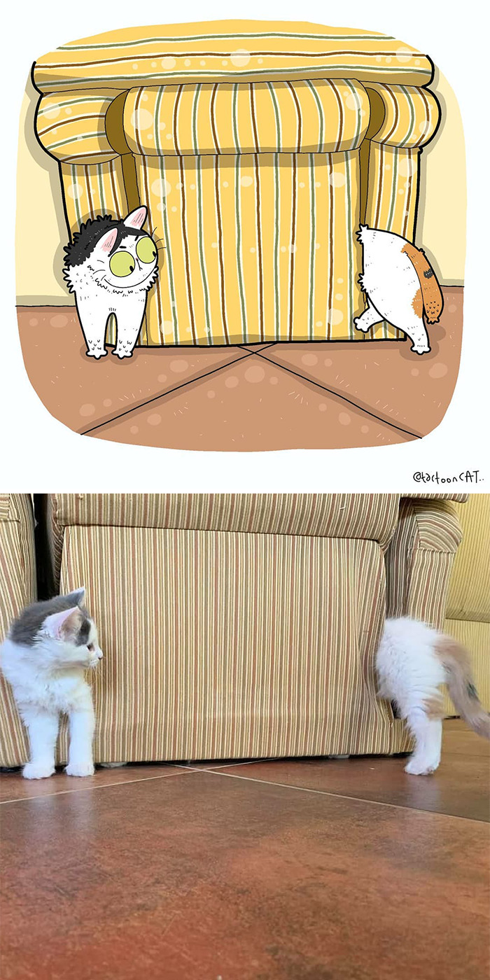 Artist Is Bringing Forgotten Memes Of Cats In The Form Of Cartoons And This Is So Purrfect