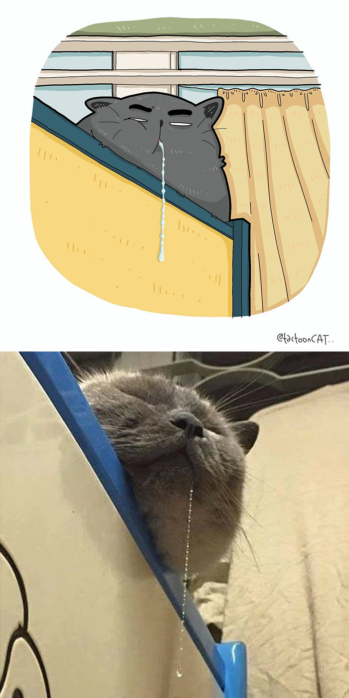 Artist Is Bringing Forgotten Memes Of Cats In The Form Of Cartoons And This Is So Purrfect