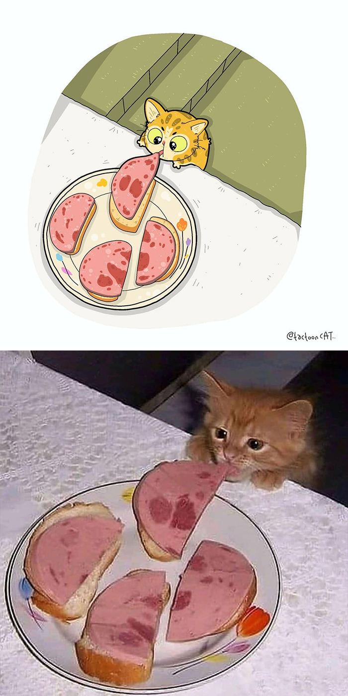 Artist Is Bringing Forgotten Memes Of Cats In The Form Of Cartoons And This Is So Purrfect