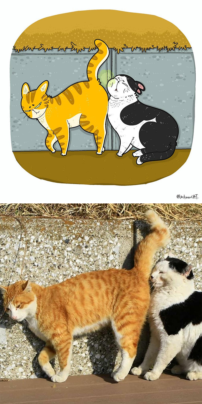 Artist Is Bringing Forgotten Memes Of Cats In The Form Of Cartoons And This Is So Purrfect