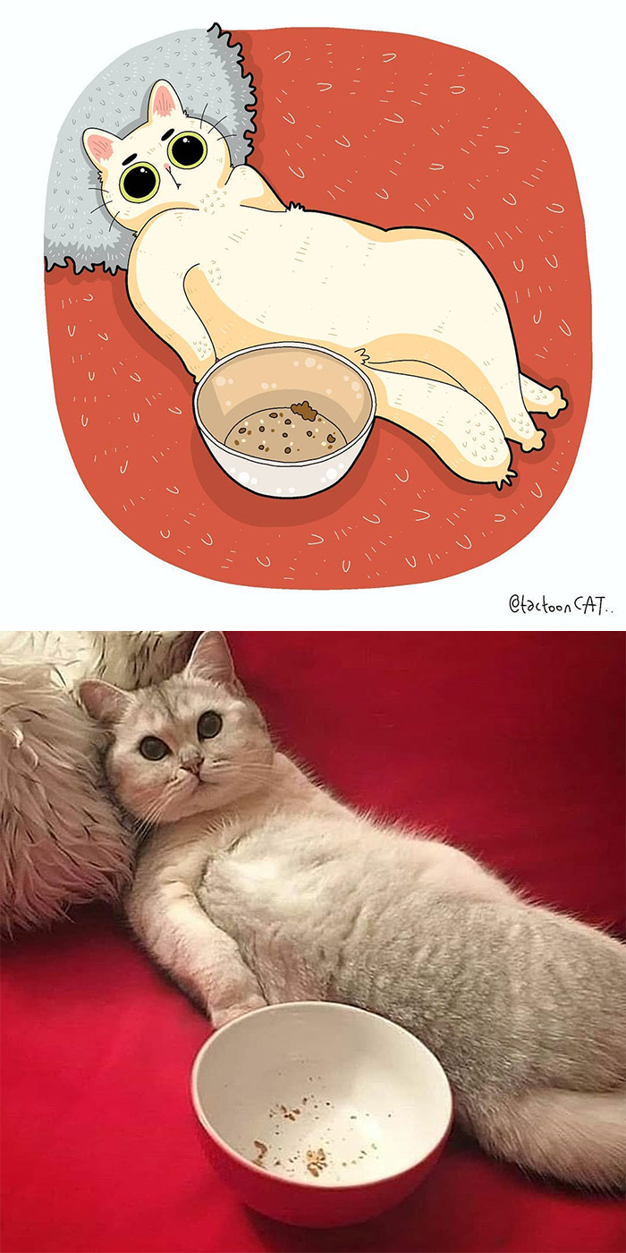 Artist Is Bringing Forgotten Memes Of Cats In The Form Of Cartoons And This Is So Purrfect