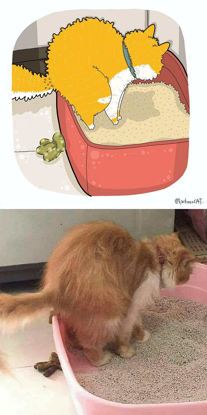 Artist Is Bringing Forgotten Memes Of Cats In The Form Of Cartoons And This Is So Purrfect
